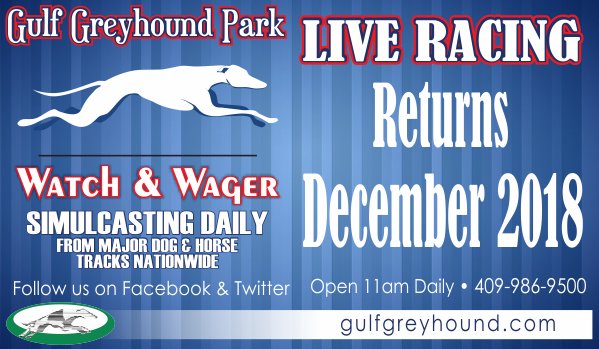 gulfgreyhound's tweet photo. https://t.co/6ydr0JNjr1