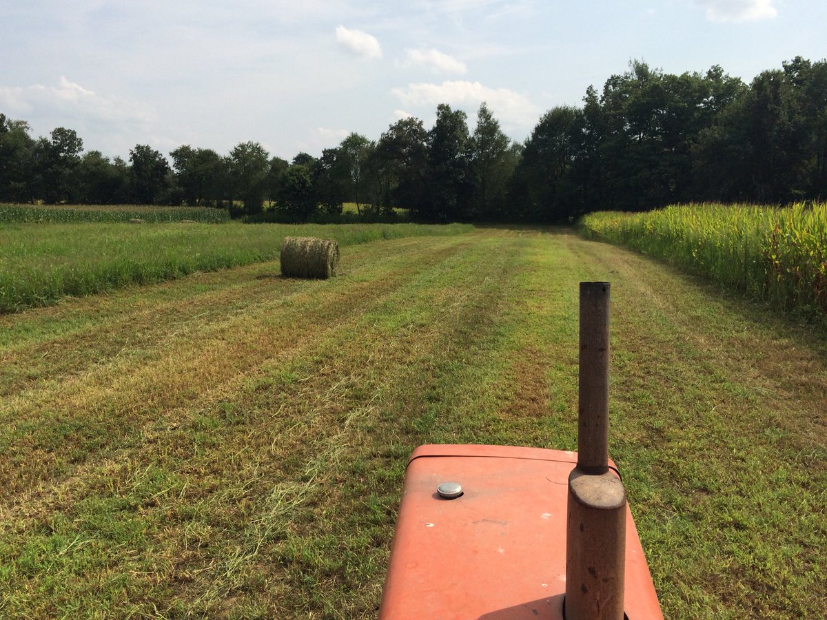ZimmTheWanderer's tweet photo. Make hay while the sun shines!
#country #countrylife #farming #farmlife #AllisChalmers #hay #hayfield #roundbales #contryboy https://t.co/aah9Vop387