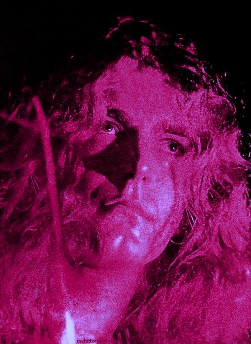 I\m late but happy birthday to robert plant <33333 