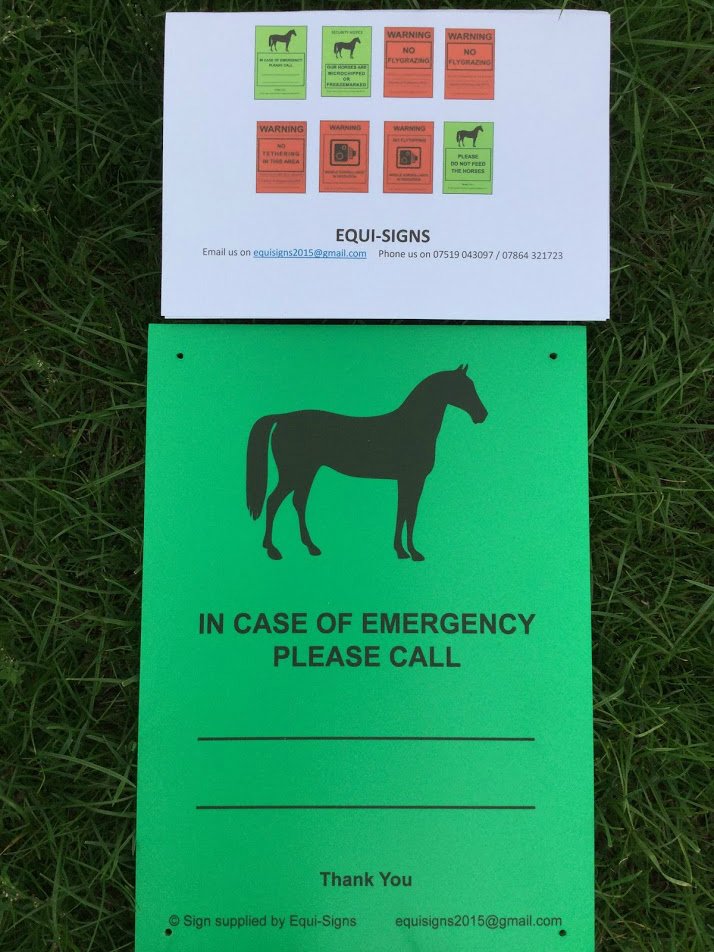 Eggsy Pony & Friends tweet media