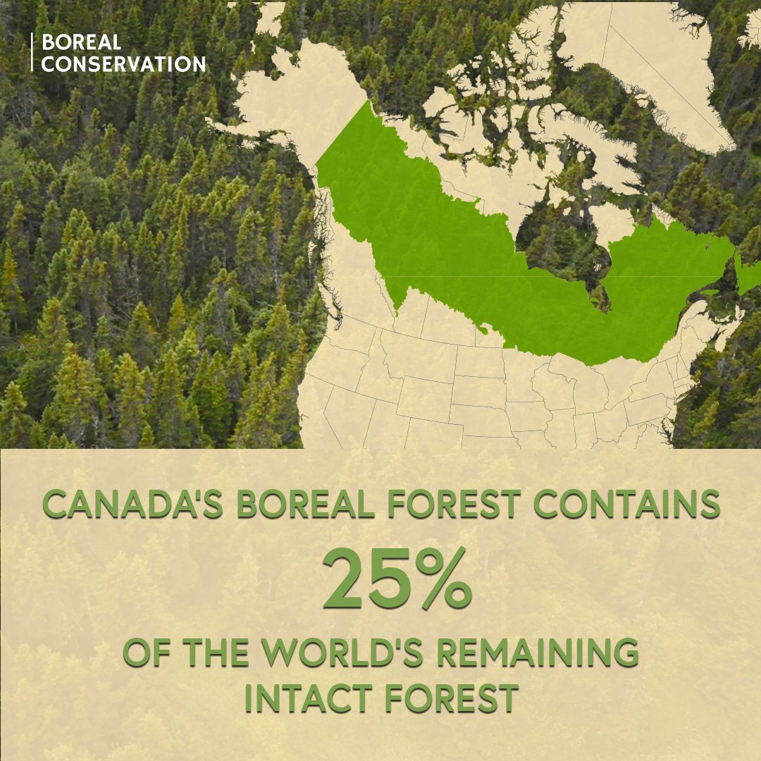 Did You Know … Week of October 13, 2018 | North Island - Powell River ...