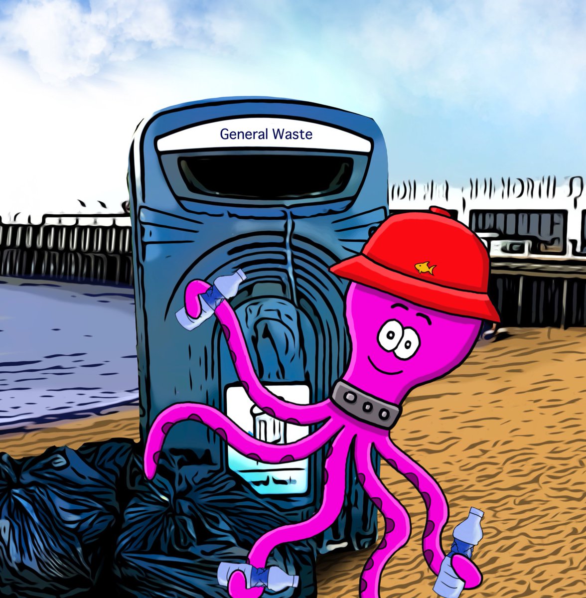 Aqua Boogie’s Octo keeping our beaches clean #beachclean #Essex #noplastic #environmental #trashfree #Clacton #litterpickers #octopus #funtimes #kidsbook #binbags