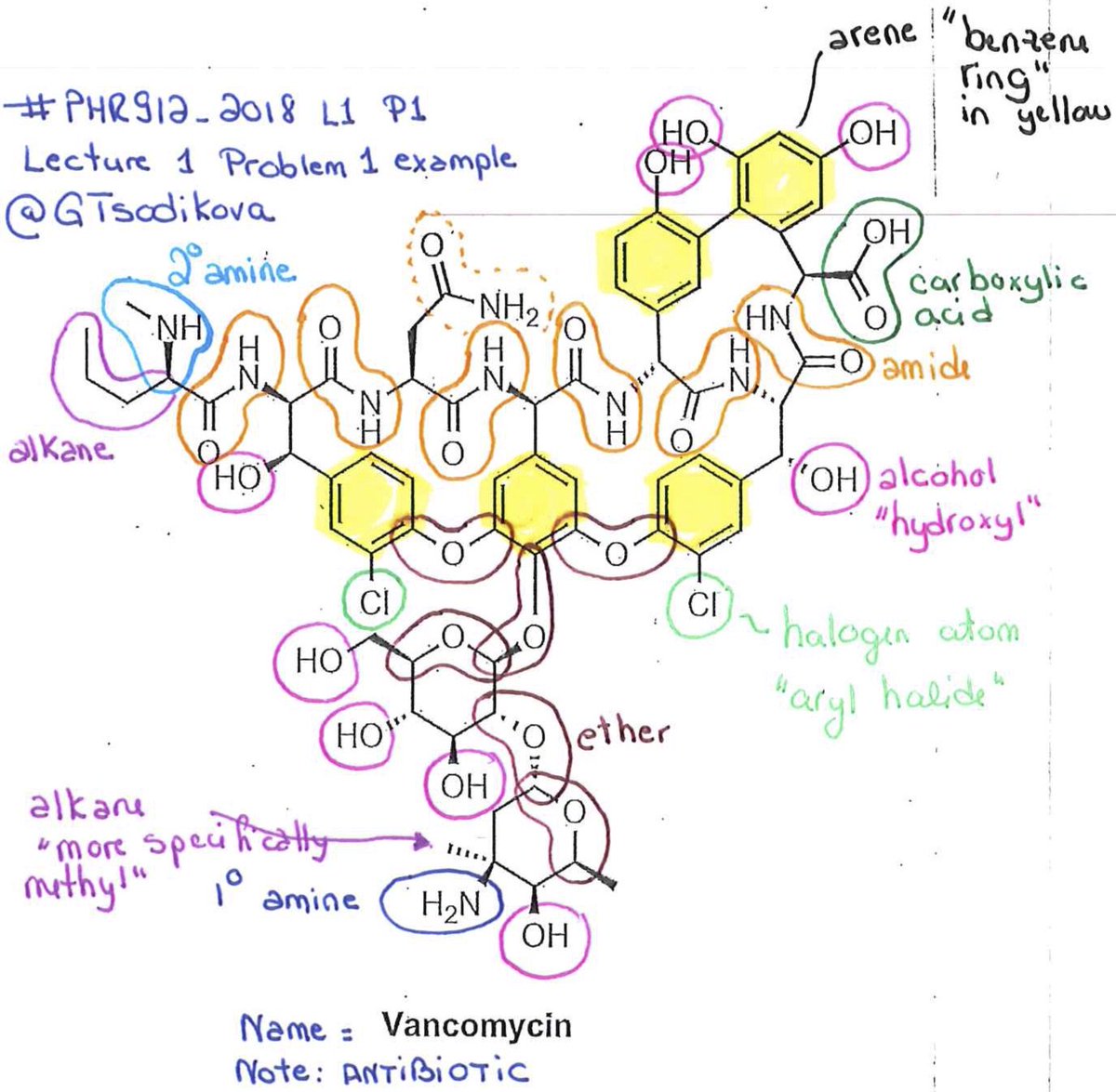 Dr. Sylvie Garneau-Tsodikova tweet media