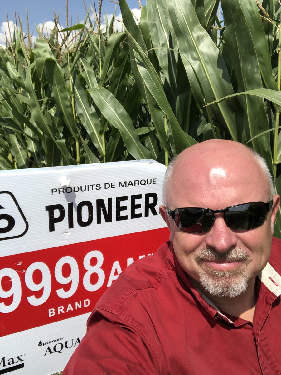 macmillanss's tweet photo. Mes collègues du Québec connaissent de bons hybrides de maïs! Ce beau terrain entre Chambly et Rougemont @JeanCaron99!
My colleagues in Quebec know good corn hybrids! This beautiful field between Chambly and Rougemont! #stumacmillanseeds #P9998AM #P9621AMXT #P9608AMXT #P9188AMX https://t.co/BCTvG5Q36s