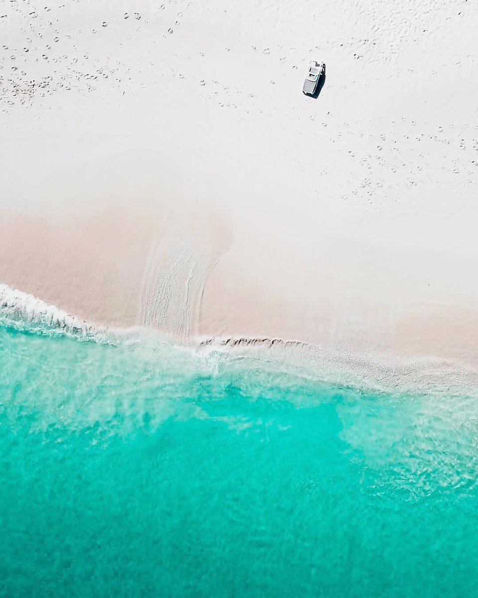 Club Med Canada tweet media