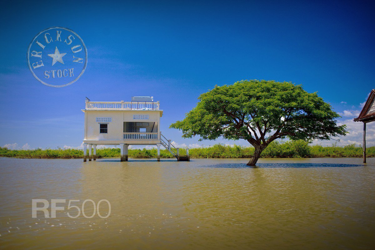 Erickson Stock tweet media