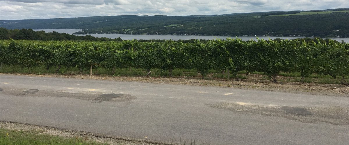 lis_rewined's tweet image. Fav on Keuka Lake #DrKonstantinFrank takes the 2018 NY Governor’s Cup - loved the late harvest Rieslings, Blaufrankisch and Rkasteli