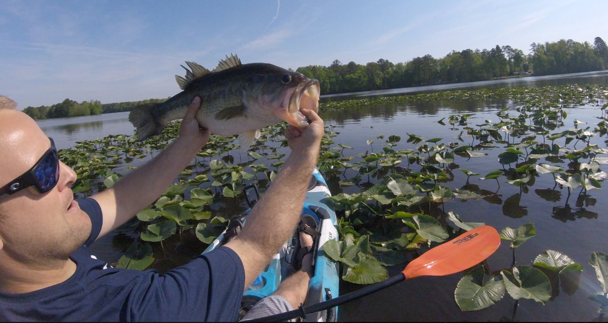 baitandwait's tweet photo. Team member, Drew, with his PB from the kayak. 6lbs. #summerbite #largemouthbass #kayakfishing #lillypads #lakefishing #rva #rippinlips #bass #bassfishing #CatchandRelease #fishing #gooutside #kayak #fishingislife #onthewater #sickday https://t.co/QKKQAPBSL8