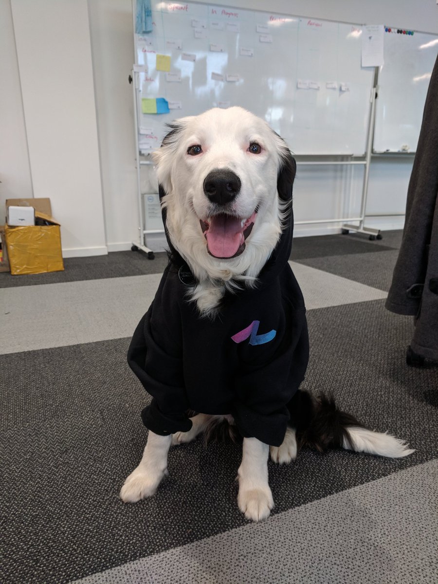 Laura Harris tweet media