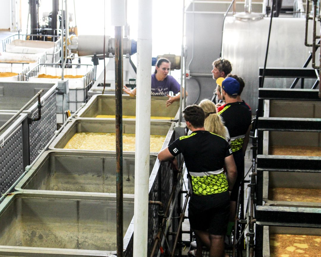 Panther_Spirits's tweet photo. Moonshine Madness 2018 is short a short few weeks away on September 8th! This year we will be offering FREE guided tours 12-6pm every half hour.  👍 https://t.co/T12wRtoLaT