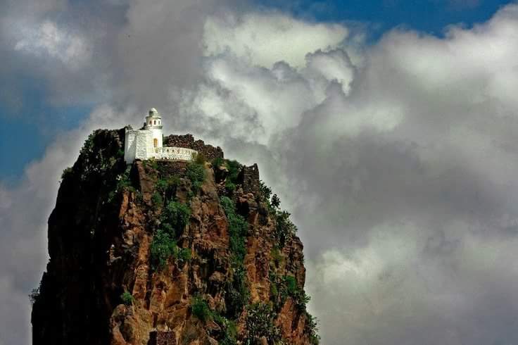 مُغــرد بلاد العـــز tweet media