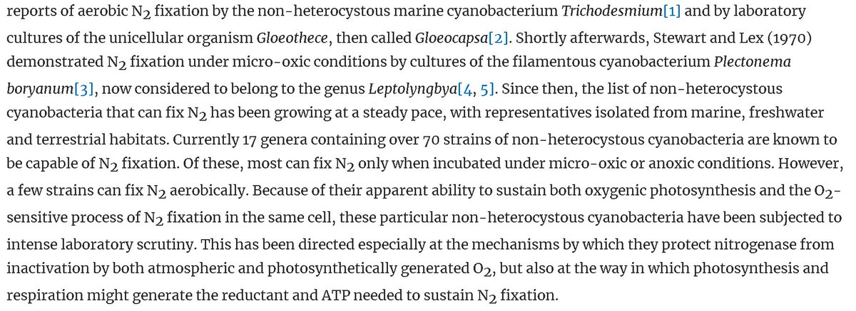 '#Cyanobacteria do not show cellular differentiation and until 1960 it was believed that such Cyanobacteria were incapable of #N2fixation. '
#Carbon 
#Okeechobee #BreakingBad