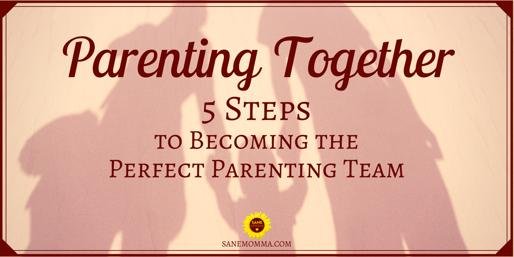 SaneMommaBlog's tweet image. Check out these 5 steps to becoming the perfect parenting team! #MomLife #DadLife #Parenting bit.ly/2I96R4r