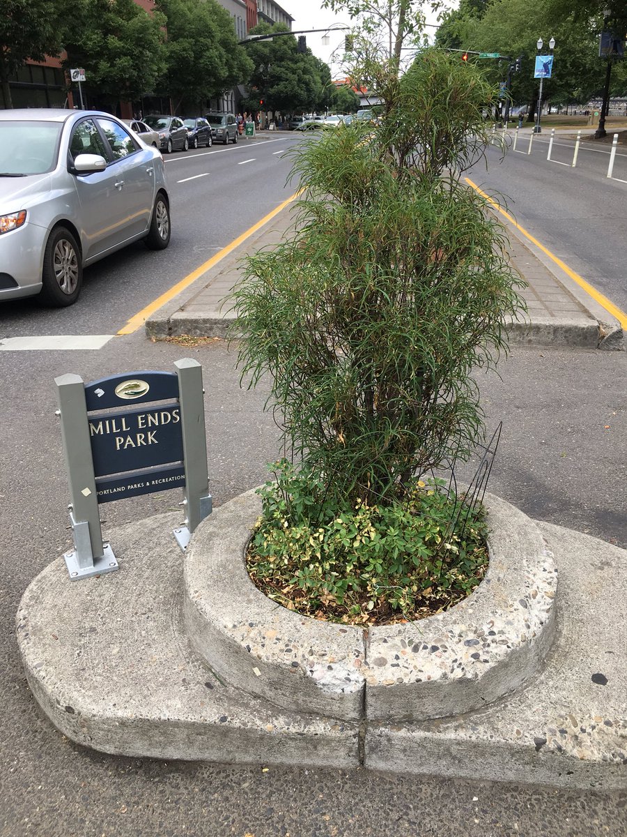 BritishMarket93's tweet photo. オレゴン州ポートランドにある、
ギネスにも認定されている、
世界で一番小さな公園。

ミル・エンズ公園。

直径約69.96cmの丸い公園です。

The smallest park in the world. 

#オレゴン #ポートランド #ギネス #oregon #portland #millendspark #guinness https://t.co/Skv6KzKE4t