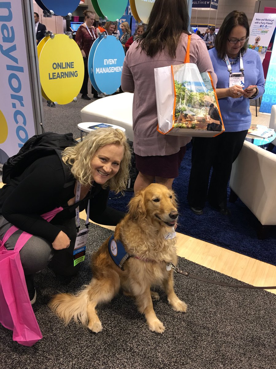 SaraJEdmonds's tweet photo. Thanks @NaylorLLC for the puppy cuddles today! #ASAE18 #ctcorps https://t.co/3LX2qI40np