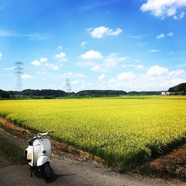 KBscooters's tweet image. 初期慣らしな試運転の後は本格試運転。
手賀沼ロングコースを駆け抜ける。
試運転仕事はまだ続くという事で本日は14時位からのオープンとなります。
#ベスパ #vespa #smallframe ift.tt/2OSYGg3
