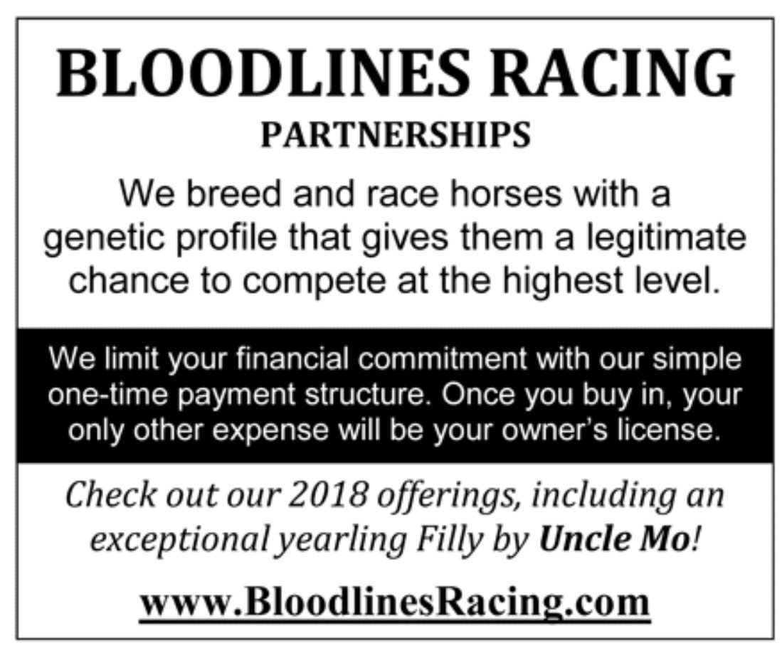 BloodlinesRacing (@tbpartnerships) / Posts / X