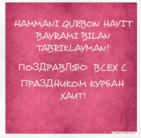 Malika93527047's tweet photo. #Hayit https://t.co/8dIzR5PwFO