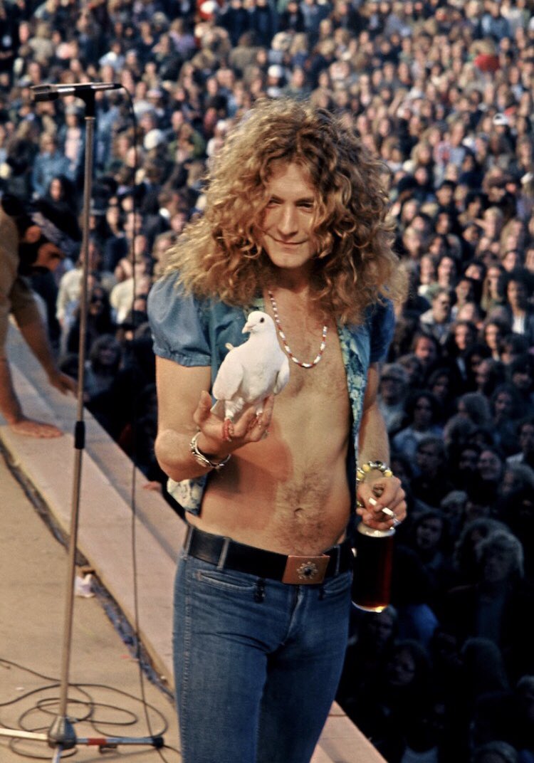 Happy birthday, Robert Plant! 