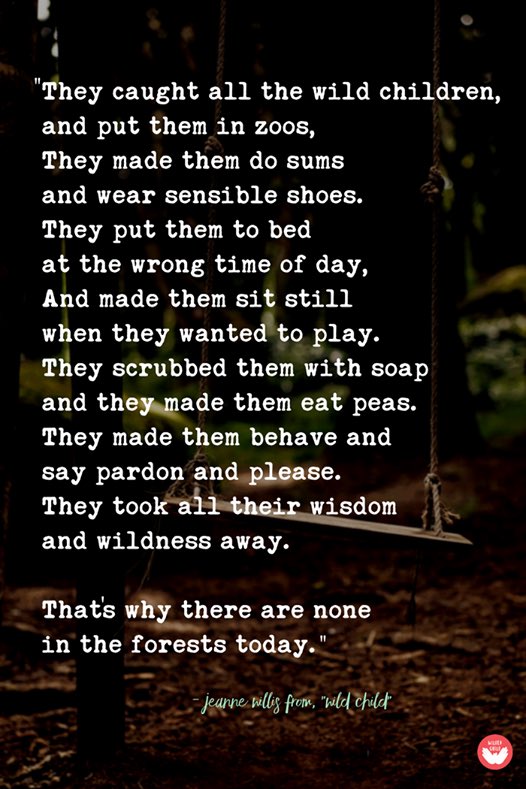 If you explore deep into the forests, you’ll still see plenty of children playing and being wild! Some just need more encouragement than others. #staywild #useyourimagination