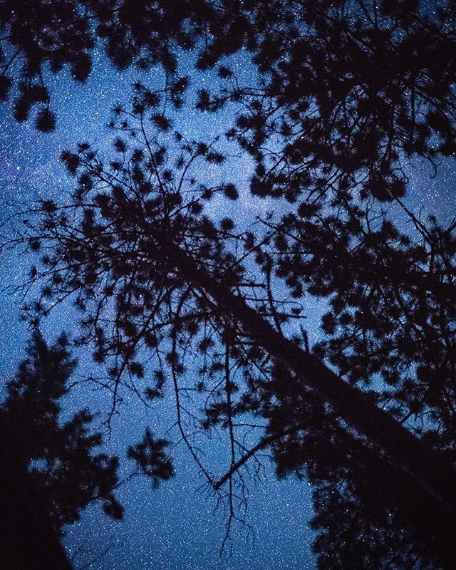 brappphoto's tweet photo. Step outside and look up! • Clear nights amongst the towering trees above. A spectacular sight to behold ☺️•
-
-
-
-
#sonya7s
#canada
#muskoka
#muskokalife
#artofvisuals
#instagood
#ownthenight
#astrophotography
#astrophoto
#depthobsessed
#deptho… https://t.co/2xX61WKjxV https://t.co/It4K179jEY