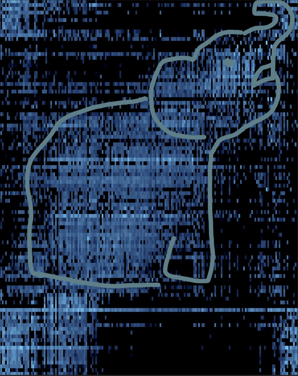 natakisgriffin's tweet photo. Adventures in #phyloseq: made a giant heatmap for my Arctic stream samples and used it as a Rorschach test on my labmates. @ErinFJones sees a sad elephant, I see a rooster. Outside opinions welcome. https://t.co/tAQBdp37Pu