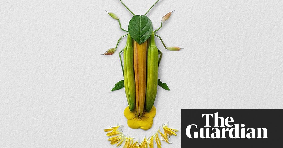 AHS_Gardening's tweet photo. We're totally amazed by this insect art created from plant bits, appearing in @GuardianUS https://t.co/Cdc7vgonpd https://t.co/WWmwLpRJFZ