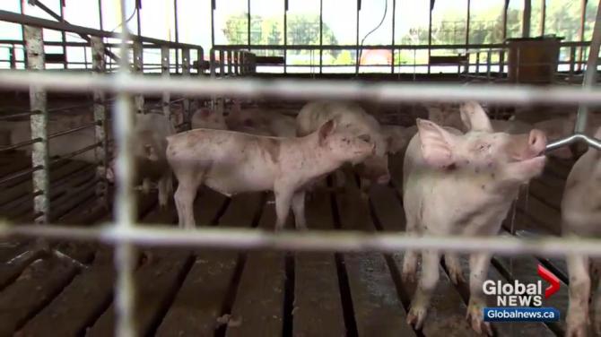 download Engineering