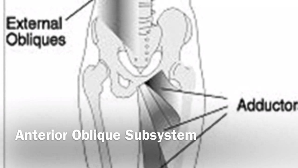 OneHPC's tweet photo. Are Oblique Strains and Groin Pulls a communication issue? Want to improve your rotation and core strength? The latest Blog post on is "Rotation Cross Patterning", and includes a video of some of my favorite entry level drills. Click here to check it out: https://t.co/NiLKkC7xqp https://t.co/QZydcalsOw