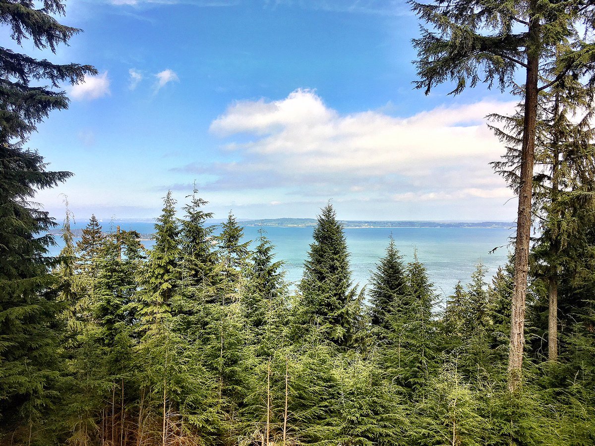 windermereorcas's tweet photo. Price Reduction:  A great saltwater view has been opened up from this circle, Lot 38, which is located within the community of Eagle Lake. Offered at $79,950 https://t.co/GcUmqZbxJT https://t.co/nOMvCHGzKd