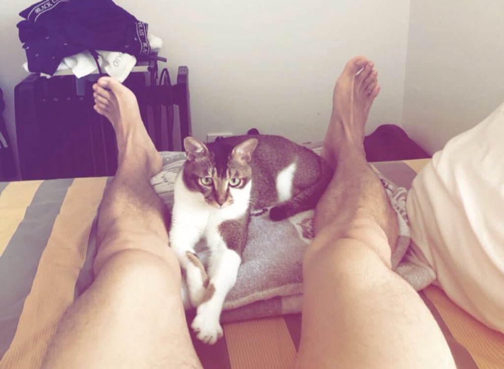 80 Hantu Gigit Terbaru