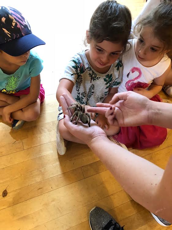 smarties2018's tweet photo. The @smarties2018 made some new friends today during animals!! @banburykidscamp https://t.co/ZdQSjVqlcW