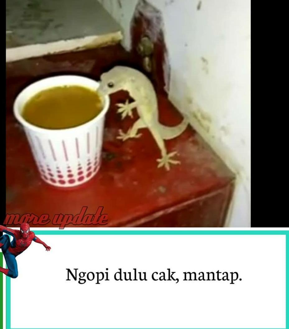 mazz_soer's tweet photo. Ngopi sik cak https://t.co/2kilOAkvrk