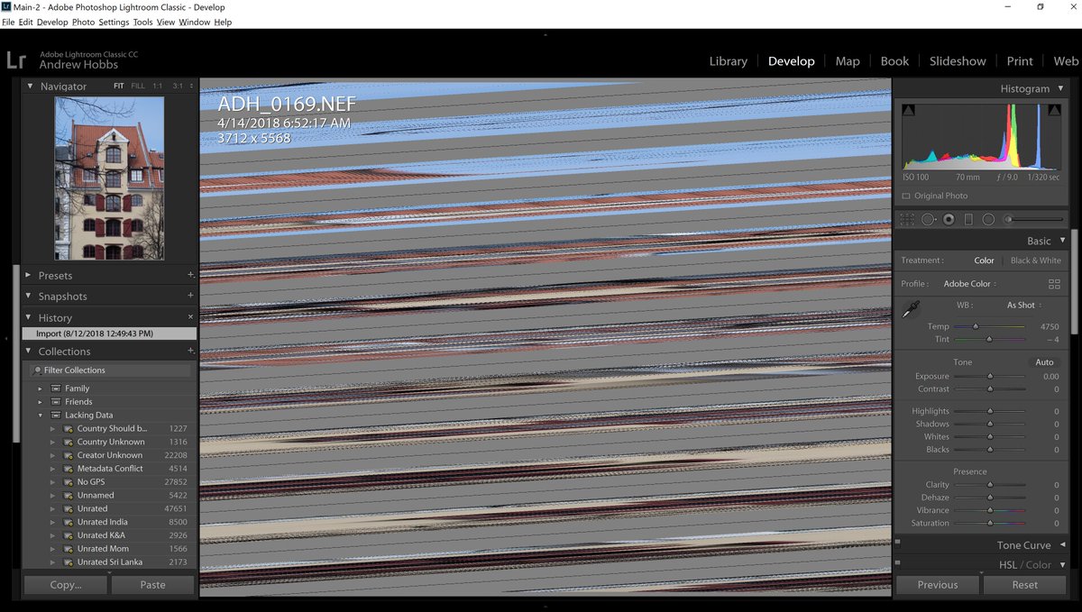 AndrewDHobbs's tweet photo. @AdobeCare Hey, I'm doing a trial of Lightroom Classic CC 7.4 &amp; this is happening when I try to use Develop on NEF files. It's affecting all files (shot w/Nikon D5100 &amp; D7500), and I've confirmed they open properly and are not corrupt with Nikon's Capture NXD. What do I do? https://t.co/y7aJfGm80V