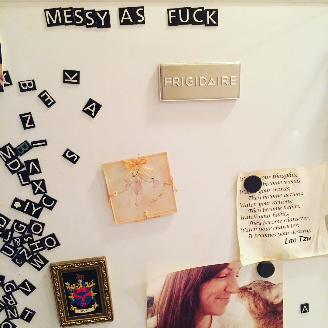 Karma_in_Chaos's tweet photo. Throwback to when I found this on my Fridge. I was actually offended because I keep a tidy place .. Called my friend and she was like " Your magnets mate,they are .. Look I have a touch of OCD, get a magnet wicker bin" #MessyAsFuck #YesMyCatIsOnMyFridge https://t.co/jnNg9m8VkB