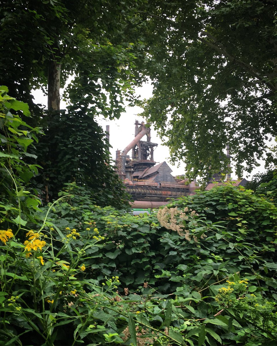 RachelChang's tweet photo. 🌳➕🏭

#bethlehemsteel #travel #running #run #trailrunning #pathto131 #pathto262 #nature #bethlehem #pa https://t.co/ugICT8nCzC