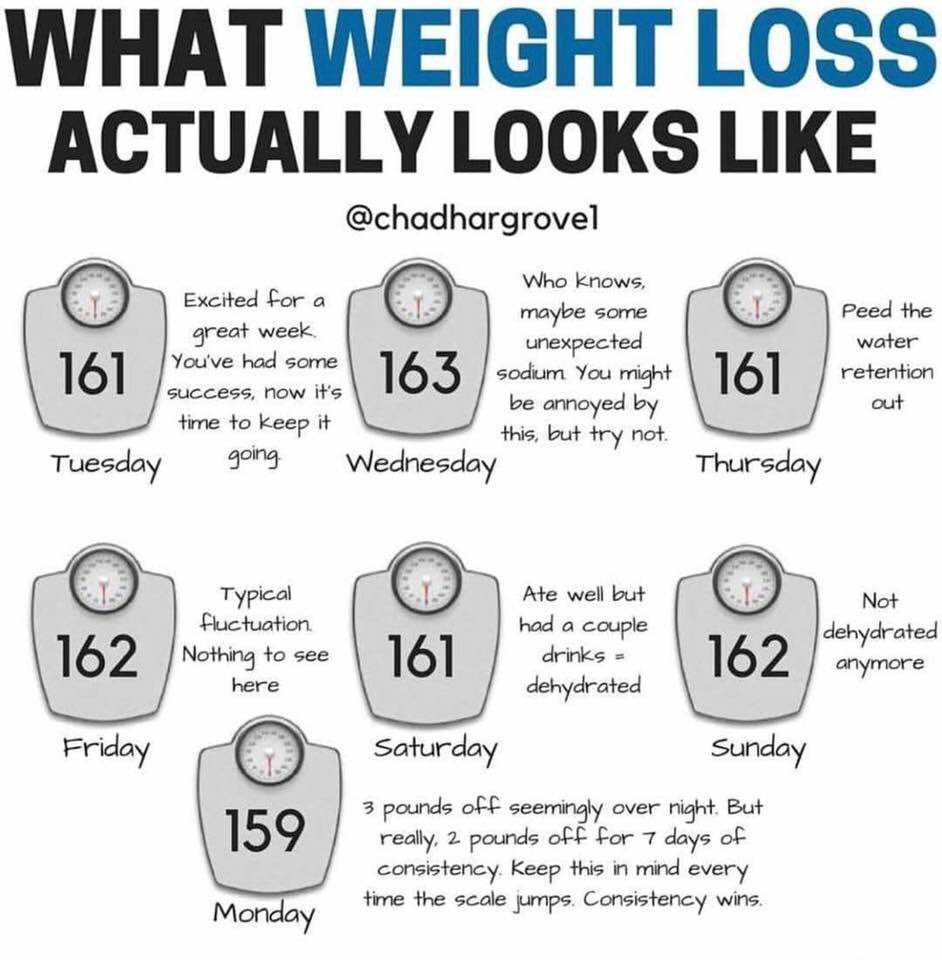 ipwellness's tweet image. #idealprotein coaches know weekly weigh ins will show consistent weight loss as well as inches - you got this! Stay consistent