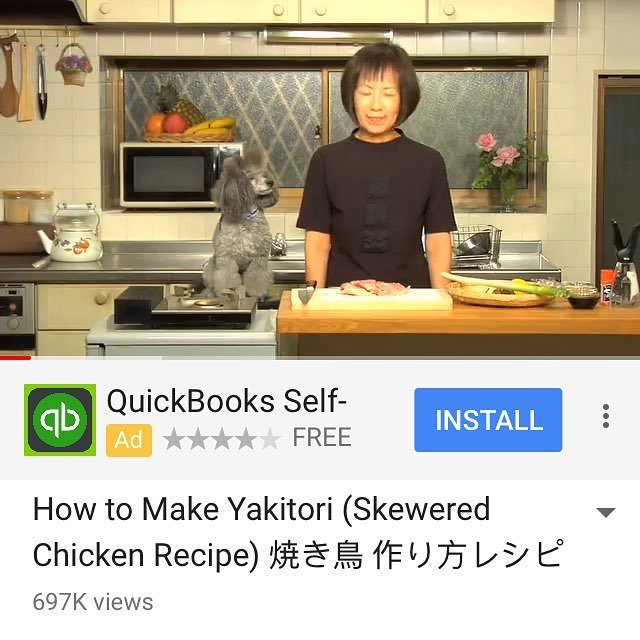 FoodlinerTO's tweet photo. @cookingwithdog is the best cooking show on the internet! Listen to the dog #dogknowswhatsup this ones on Yakitori, dog knows yakitori https://t.co/PPEAF2MKOk