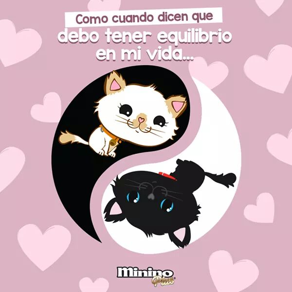 Para tener equilibrio en tu vida debes de tener un gatito negro y uno blanco, ese es el verdadero equilibrio .