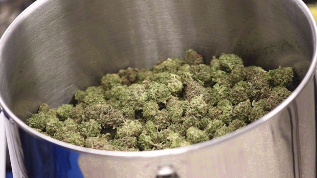 CP24's tweet photo. Ontario Cannabis Store announces supply agreements with 26 licensed producers https://t.co/l8T9j7eLTn https://t.co/GHTPdQYj4T