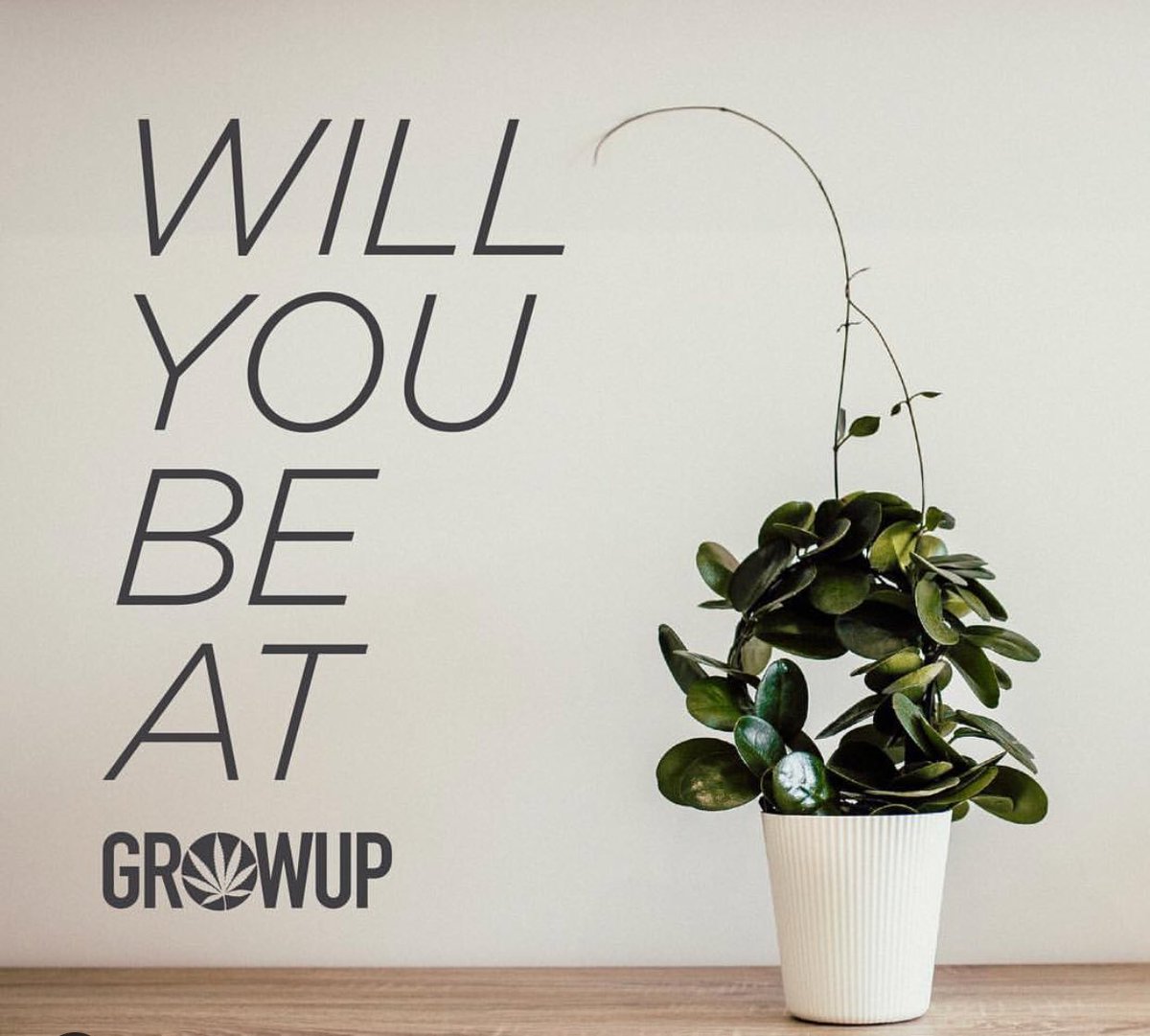ChristinaDGDCA's tweet image. We will be! Come visit @DetonateGroup this year @growupcanada Niagara Sept 7&amp;amp;8! Be the first to see the new #Detonate #Cannabis #Agency in action! As the official #printsponsor, be prepared to be amazed and walk away with amazing swag!
