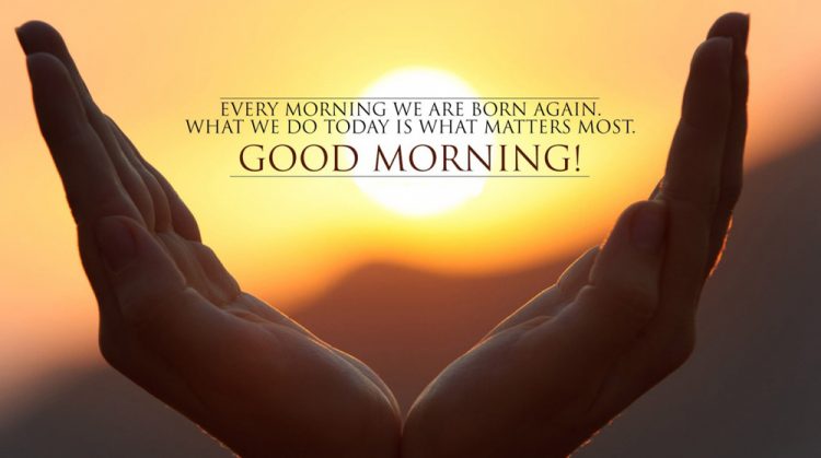 emphatic_group's tweet photo. #Good #Morning
Everyday when you wake up, remind yourself that there are better things to be done in life. Put in your best and seek to grow in every way. Eventually you will find the life of your dreams.

#Academic #training  #industrial #training Placement #emphaticgroup https://t.co/VVYT9gu6Mr