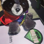 Photo by Swiper the Trash Panda ❤🗑🐼 (@TrashSwiper)