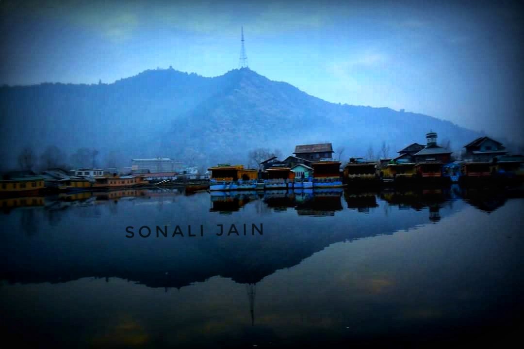 sonali31104's tweet photo. @Cashify_ Travel liberates you ! And brings out the artistic you in many forms 💚
Mesmerizing & surreal dal lake #reflections
#WorldPhotographyDay
#Photography
#ContestAlert
#ClickyChallenge
@Cashify_
Join
@impriyansh92
@Nishita5503 https://t.co/H95WXVZJ2k
