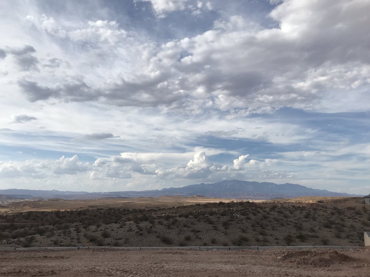 Lime Realty Group (LimeRealtyGroup) Twitter