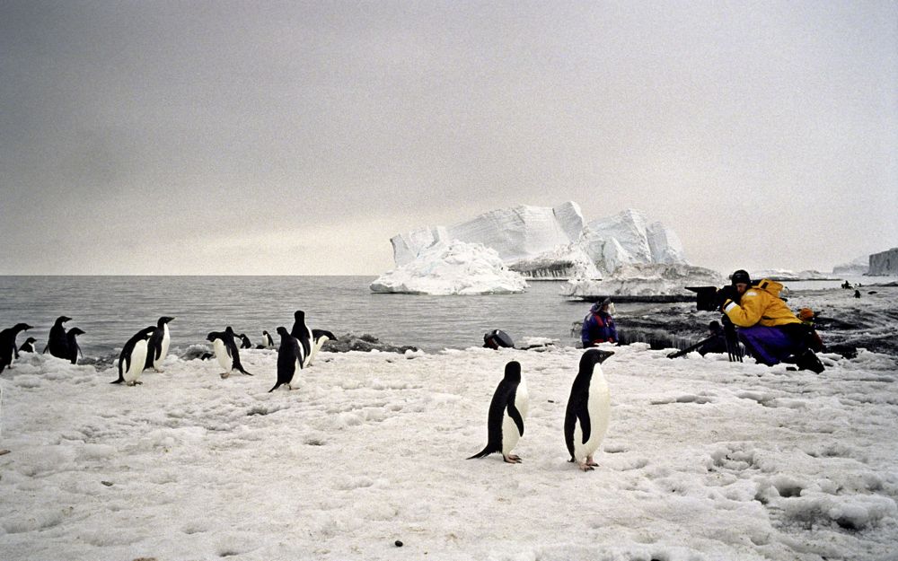 deganz_online's tweet photo. Come along to hear director Peter Young's talk on the power of film to enact positive change. We discuss the environment, filmmaking, and Peter's inspirational documentary #LastOcean. https://t.co/2afBYBEbuG https://t.co/jFBTJ7TjY9