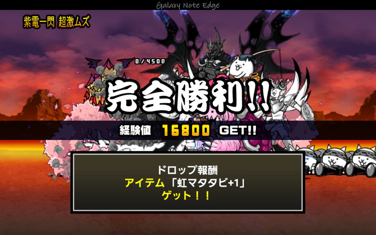 虹 マタタビ 入手 方法