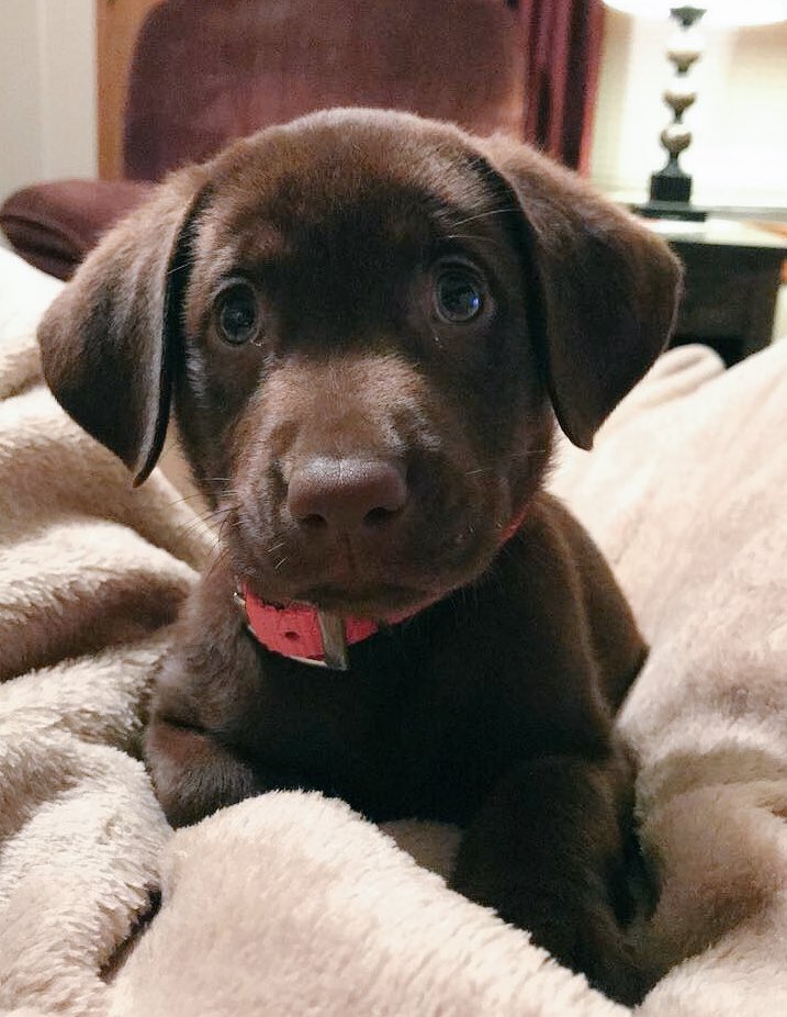 JarodLin's tweet photo. This girl https://t.co/9omM2Jo8Tp