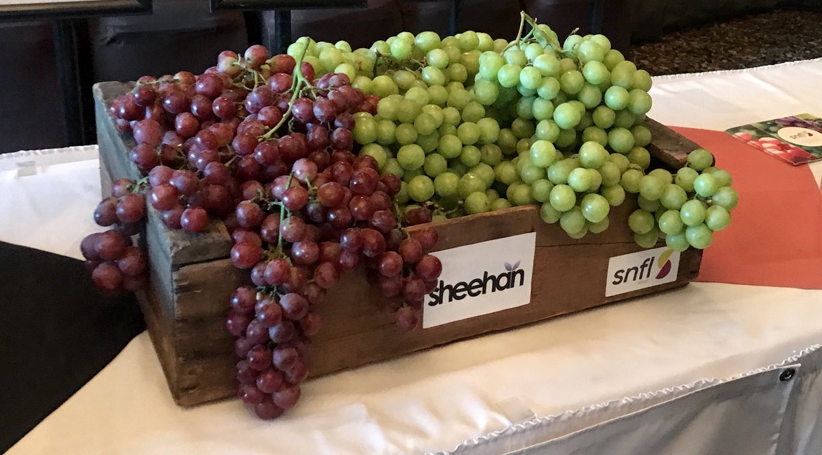 SNFL_Sheehan's tweet photo. Krissy and Ivory, Sheegene medley at the SNFL Sheehan Technical Day last week. #sheehan #SNFL #grapesfromcalifornia #sheegeneawesomness https://t.co/FTvNjahK4J