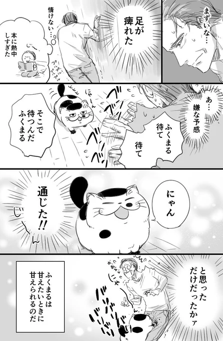 【おじさまと猫の番外編】 飼い主のこころ猫知らず 